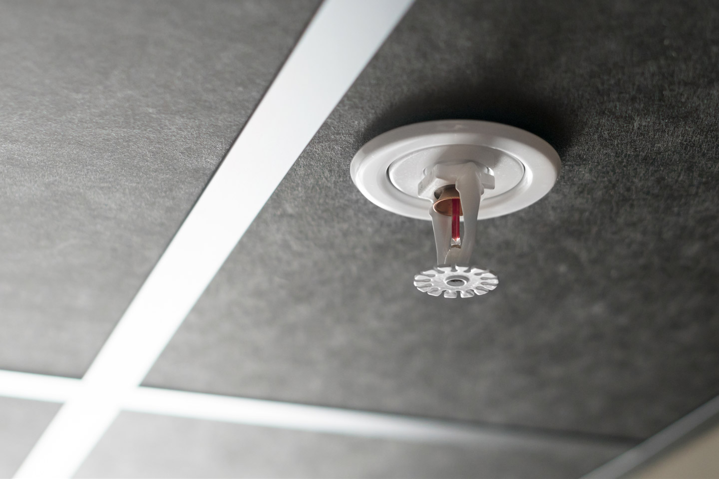 Fire Sprinkler Inspections Box Image Two